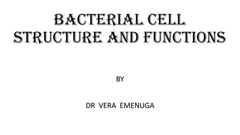 Solution Bacterial Cell Structure Studypool