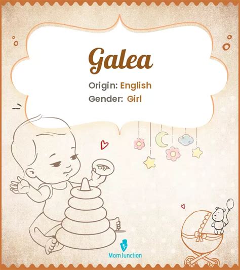 Explore Galea Meaning Origin And Popularity
