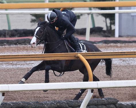 【シンザン記念】マテンロウオリオン 余力十分の動き、昆師「重賞でも勝負になる」― スポニチ Sponichi Annex ギャンブル