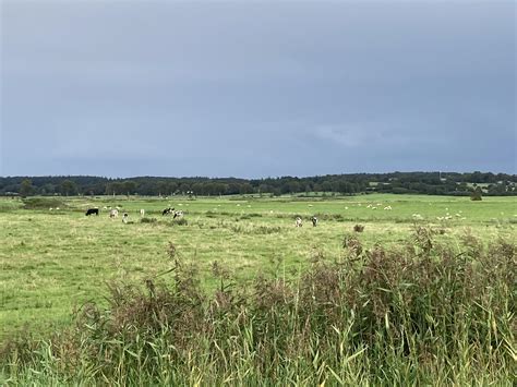 Schleswig Holstein Sch Ne Heimat Werner Kalinka Mdl