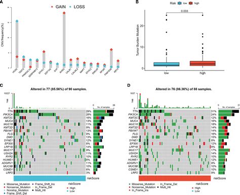 Frontiers Lymph Node Metastasis Related Gene Signature Shows Good