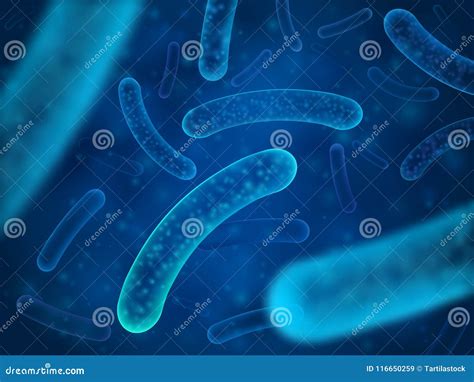 Bacteria Micro Y Organismos Terap Uticos De Las Bacterias Salmonelas