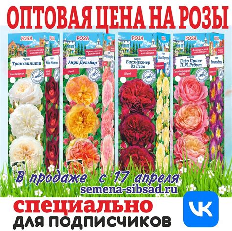 Агрофирма "Сибирский Сад" (Новосибирск) 2024 | ВКонтакте