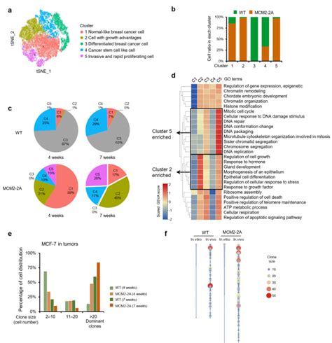 Nature子刊：甘海云团队揭示亲代组蛋白遗传受损促进肿瘤进展腾讯新闻