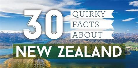 30 Quirky Facts About New Zealand InfoGraphic The Fact Site