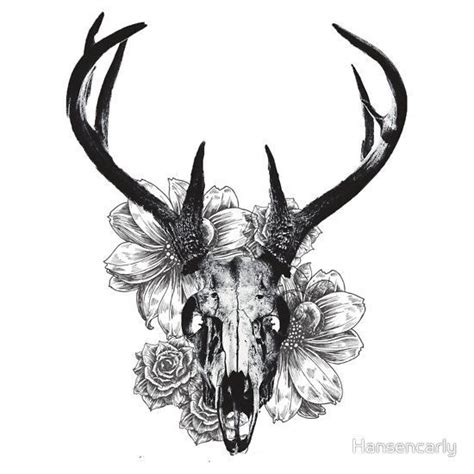 Pin By Sara Franklin Kernozek On Bones Are My Specialty Deer Skull