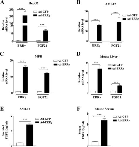 Errγ Overexpression Induces Fgf21 Gene Expression Ac Hepg2 Cells