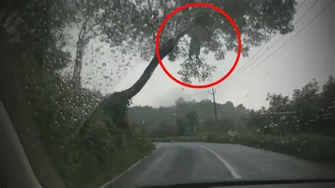 Scariest Things Caught On Dashcam Youtube