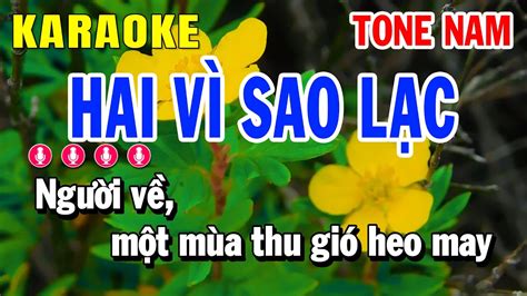 Hai V Sao L C Karaoke Tone Nam Nh C S Ng Eb Hu Nh L Youtube Music