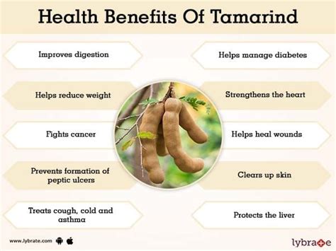 Tamarind Benefits And Its Side Effects Lybrate