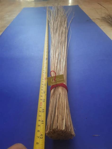 Floor Cleaning Coconut Broom At Rs 30 Piece Coconut Broom In