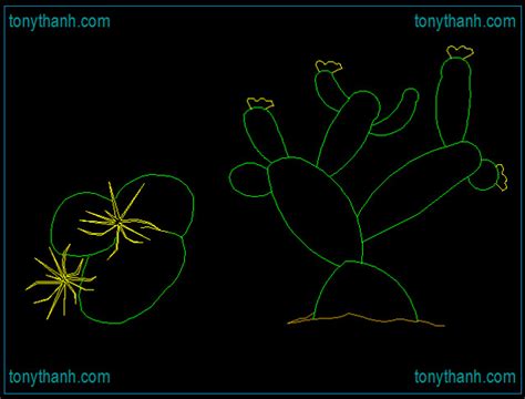 Desert Cactus Cad Block Tree Cactus Autocad Drawing Dwg Sample A