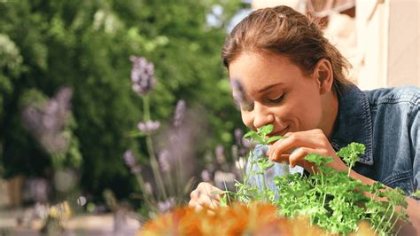 Aprende Recetas Naturales Para Combatir El Calor Kneipp