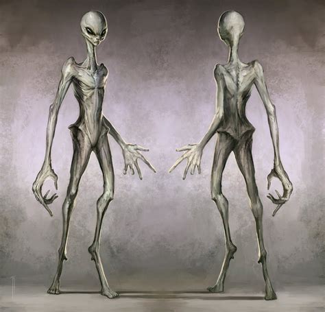 Alien One Concept The Greys By The Thpredator On Deviantart Grey