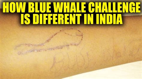 Blue Whale Challenge India Has An Independent Curator Suspects Investigators Oneindia News