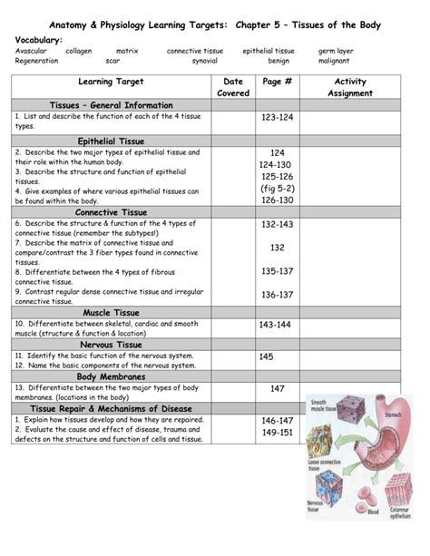 Ap Ch Tissue Lt