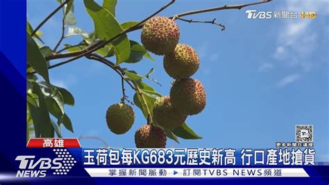 玉荷包剩3成 北農每公斤683元歷史天價 行口急到果園搶貨｜tvbs新聞 Tvbsnews01 Youtube