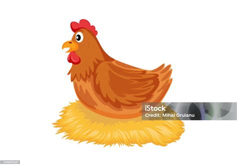 Ilustración De Gallina De Dibujos Animados Incubando Sus Huevos En Un