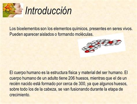 conclusión sobre los elementos químicos en los seres vivos Brainly lat