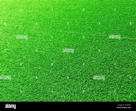 Beautiful Green Grass Pattern From Golf Course For Background Copy