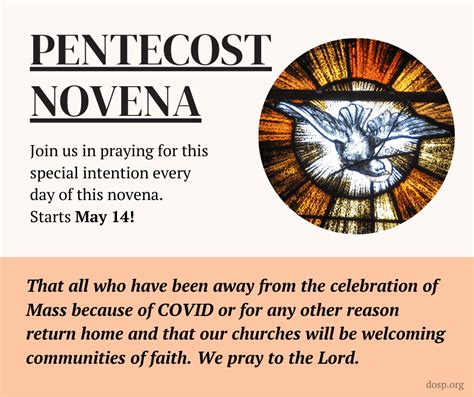 Pentecost Novena Diocese Of Saint Petersburg