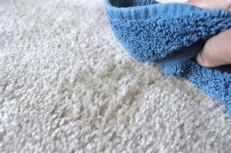 How To Mix Vinegar And Water Clean Carpet Resnooze