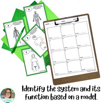 Human Body Systems Task Card Review Organ System Vocabulary Activities