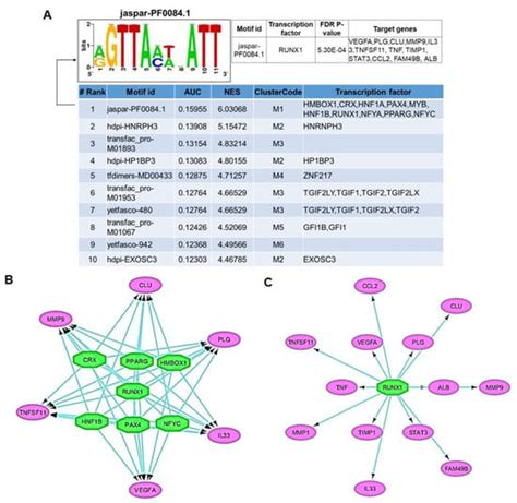 Genes Free Full Text Network Analysis Identifies Gene Regulatory