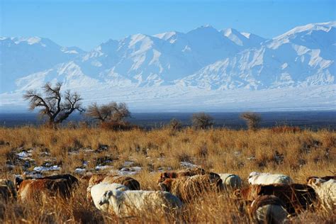 Winter Scenery Of Tianshan Mountain In Xinjiang 6 Chinadaily Cn