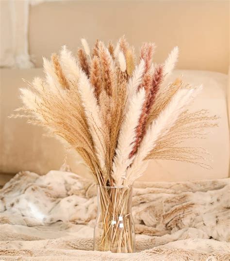 Natural Dried Pampas Grass Amazon Hot Sale Inch Brown Pampas Grass