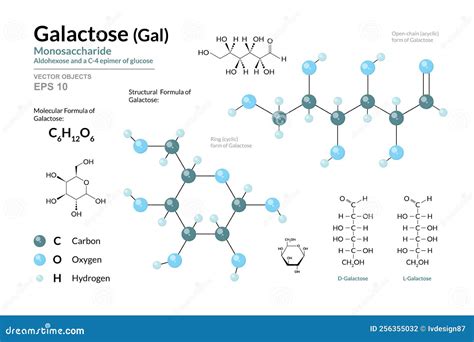 Linear Structure Of Galactose