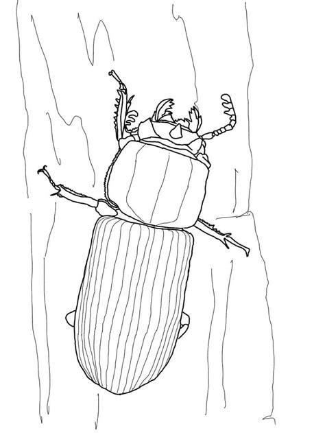 Lovely Beetle F Rbung Seite Kostenlose Druckbare Malvorlagen F R Kinder