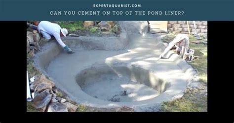 How To Hide Pond Liner 9 Tricks You Can Apply