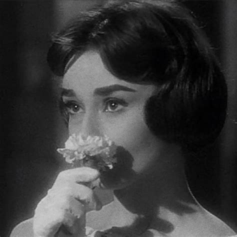 audrey hepburn