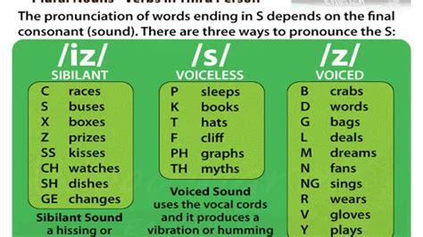 S And Z Sounds Rules