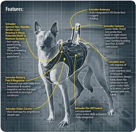 Navy Seal Dogs Are A Powerful Force Business Insider