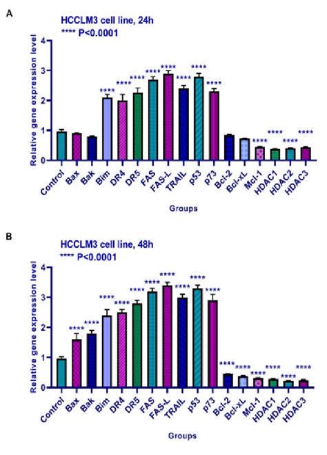 Relative Expression Levels Of Bax Bak Bim Bcl 2 Bcl Xl Mcl 1 Dr4 Download Scientific