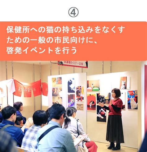 保健所に持ち込まれた猫たちを救う！ 市内に保護猫ボランティア育成施設を作り、猫を救う人材を育成し、殺処分ゼロを目指す！｜ふるさと納税の