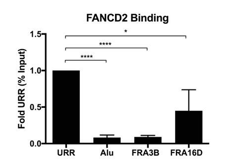 Fancd2 Binds Human Papillomavirus Genomes And Associates With A