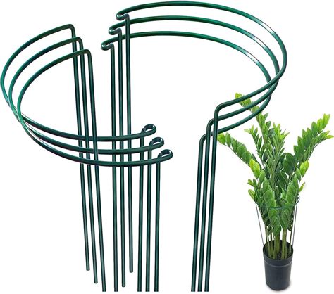 RZMZBY 6 Pezzi Pali Di Supporto Per Piante 25cmx40cm Piante Da Giardino