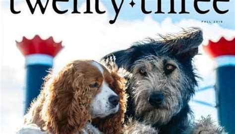 ‘Lady and the Tramp’ live-action featuer first image released - Chicago ...