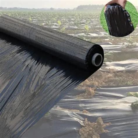 Black Prevent Grass Growth Agricultural Plastic Mulch Film Ground Cover