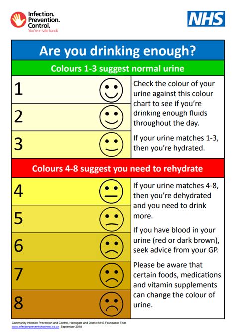 free 10 sample urine color chart templates in pdf ms word alcohol and ...