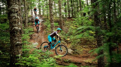 Whistler Mountain Biking | REI Adventures