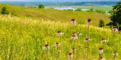 Wheres The Prairie In Eden Prairie Eden Prairie Local News