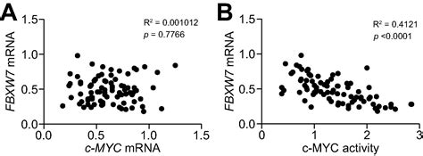 Loss Of Fbxw Synergizes With Activated Akt Signaling To Promote C Myc