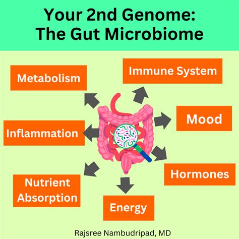 Your 2nd Genome The Gut Microbiome Oc Integrative Medicine