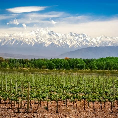 Interesting Facts about Uco Valley in Mendoza region | Winetourism.com