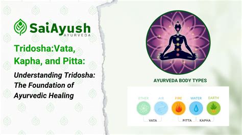 Tridosha In Ayurveda Vata Pitta Kapha Explained