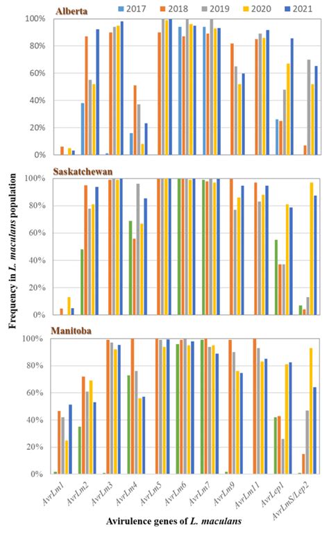 Monitoring The Race Dynamics Of Leptosphaeria Maculans For Effective